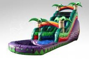 Beans-bounce-houses-Tropical-passion