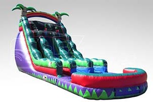 beans-bounce-houses-springhill-purple-paradise-dual-lane